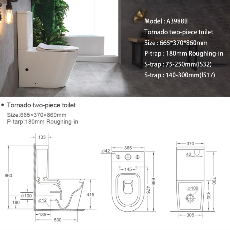 Ceramic Siphonic Wc Bathroom Flush Bidet Toilet